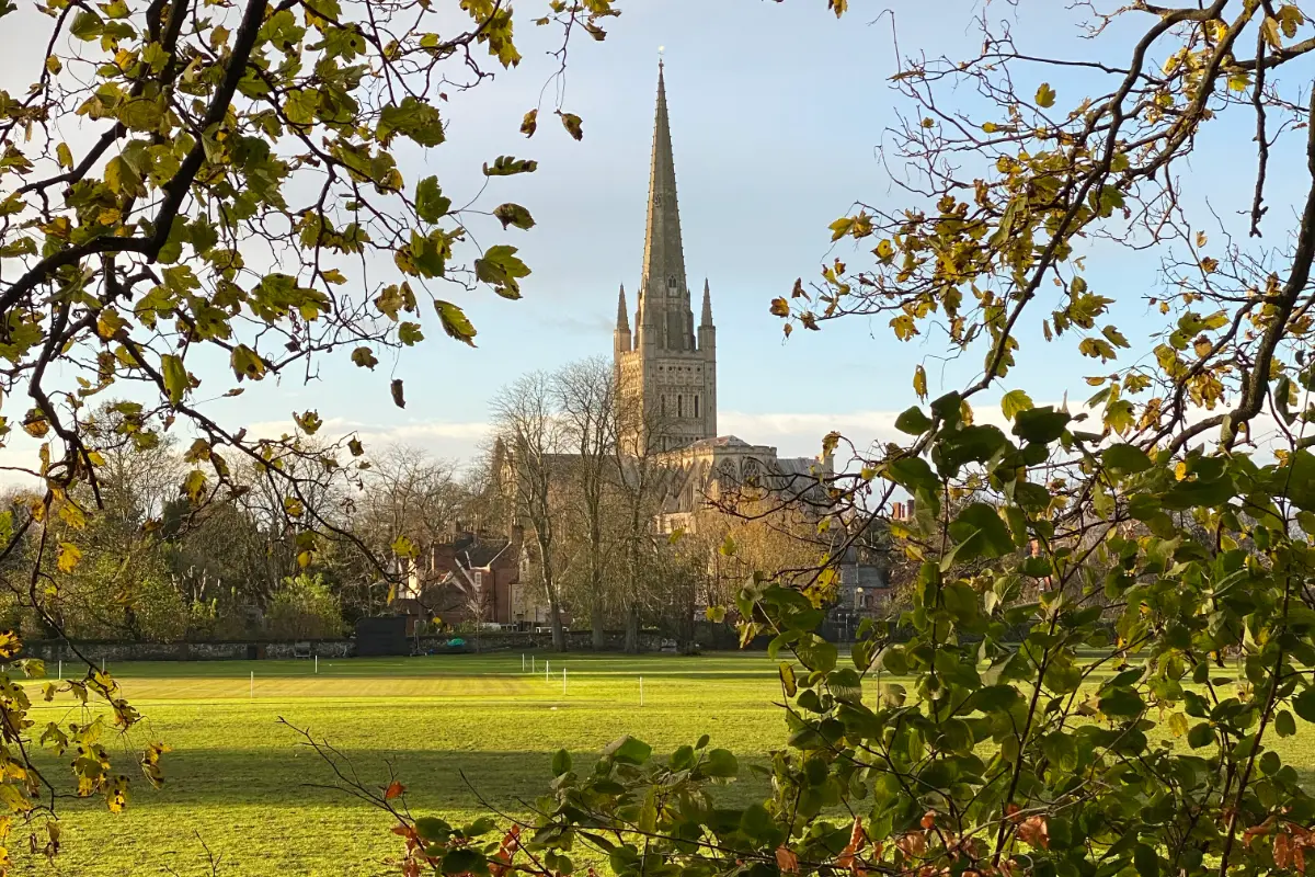 Norwich Cathedral viewed across a green park through autumn trees