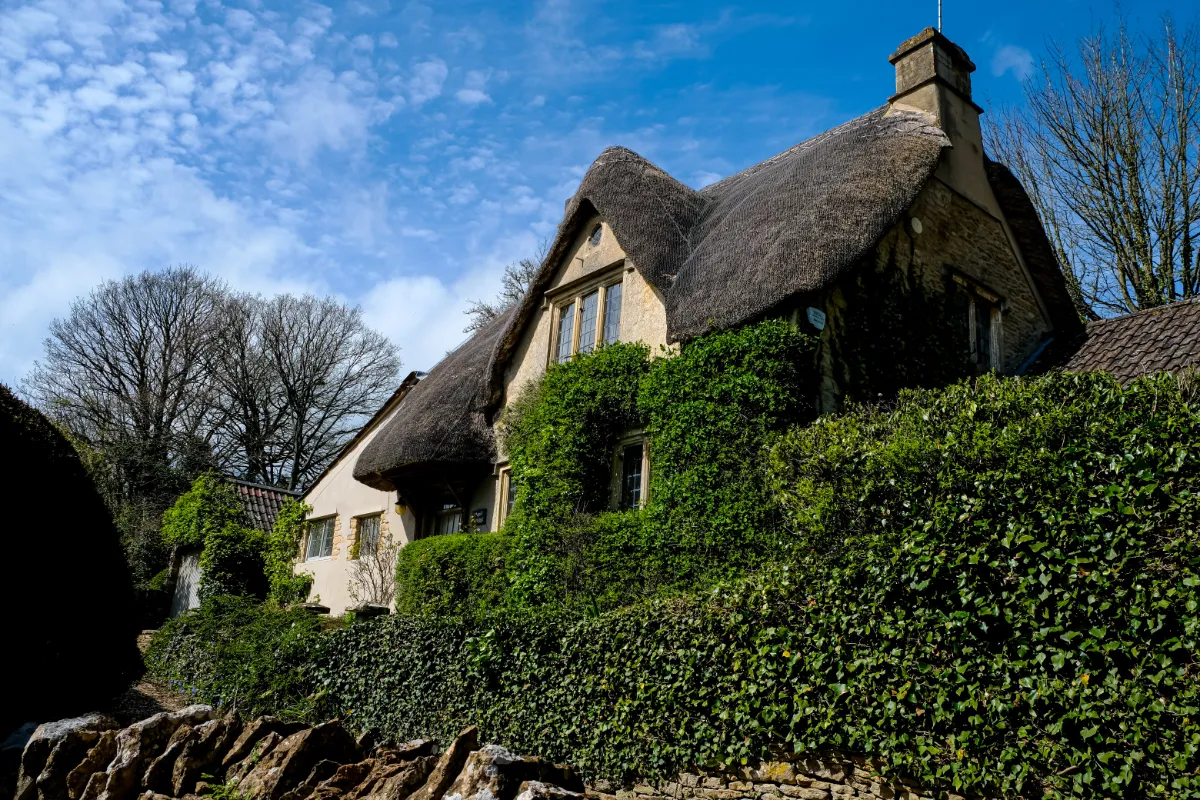 Traditional thatched cottage with ivy-covered walls and stone boundary